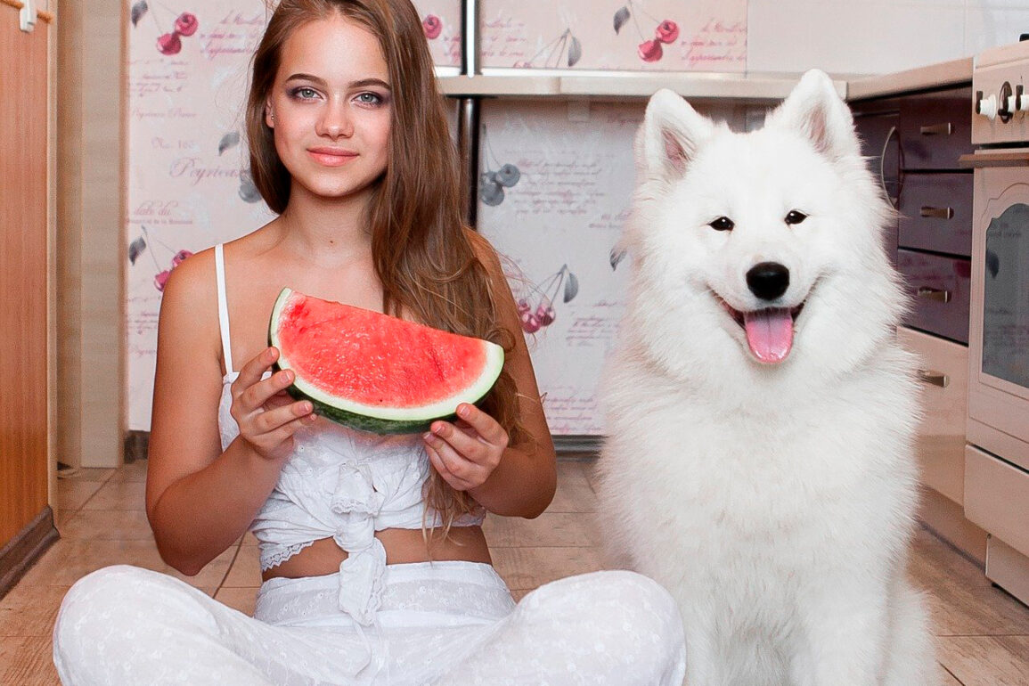 Pueden los perros comer sandía o melón? y